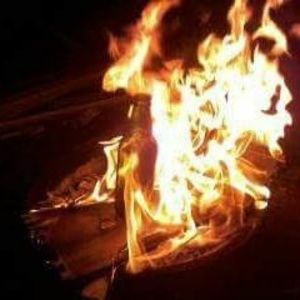 Meet your Posher, George